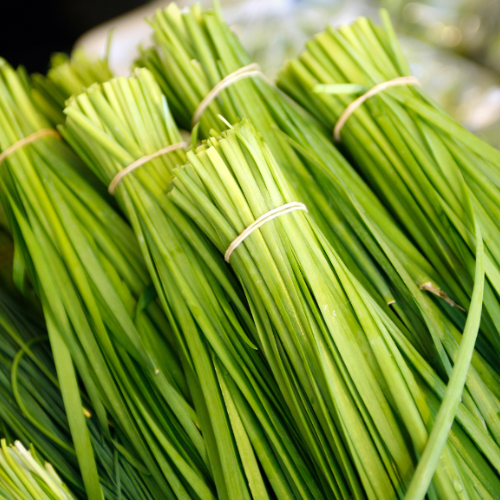 CHIẾT XUẤT LÁ HẸ